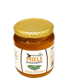 naturischia-miele-eucalipto-grande