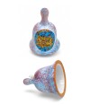 naturischia-souvenir-campanellina-variegata-viola