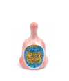 naturischia-souvenir-campanellina-variegata-rosa